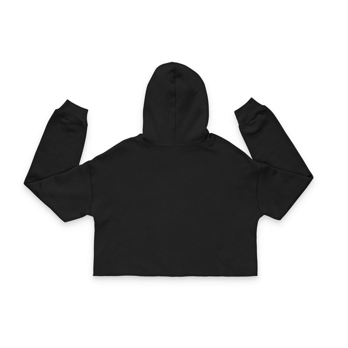 PickleBall Boston Terrier Women's Cropped Hoodie