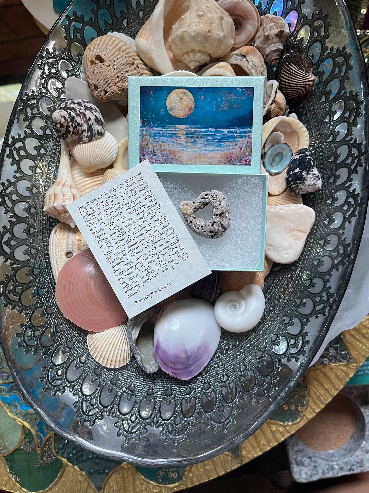 Hagstone with Calcite Shell Formation in Mystical Beach Moon Gift Box