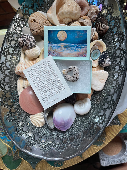 Hagstone with Calcite Shell Formation in Mystical Beach Moon Gift Box
