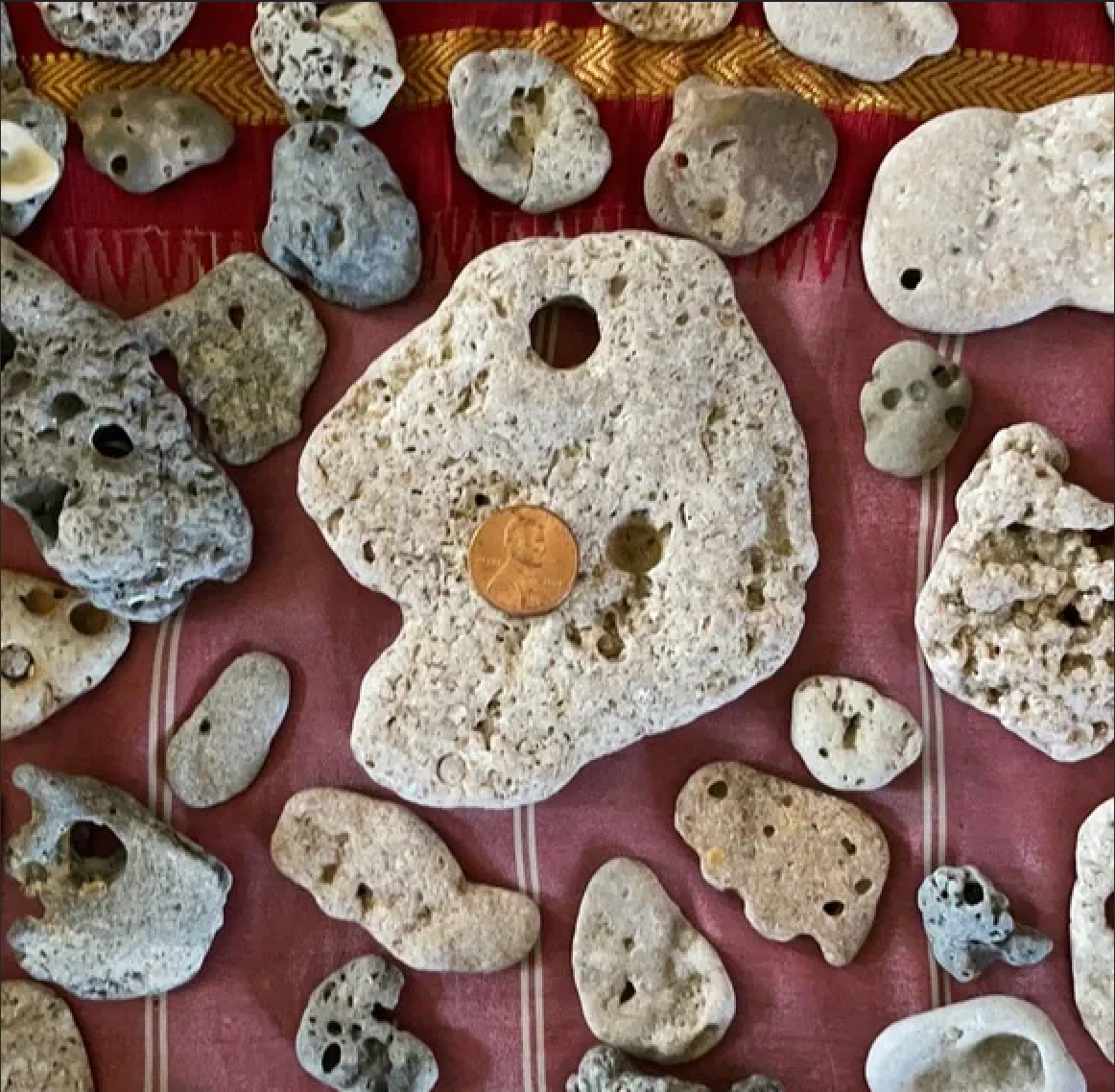 Large Lot of Hag Stones, 50 Hag Stones of All Sizes, Bodhi Crystal Magic