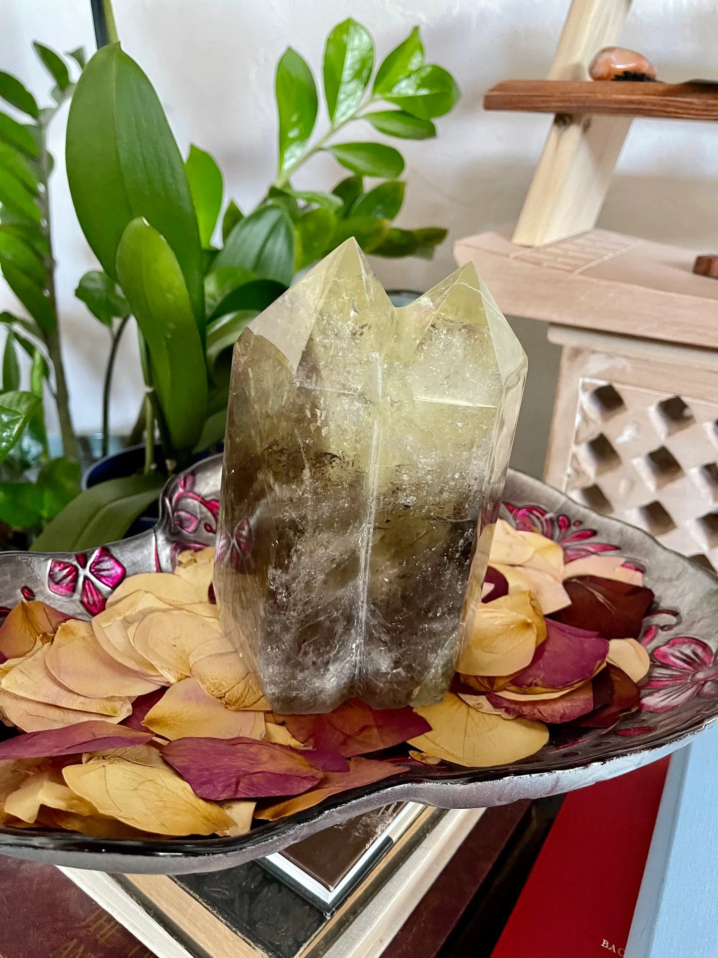 Stunning Large Twin Crystal Smoky Citrine, 4.4 lbs, Bodhi Crystal Magic