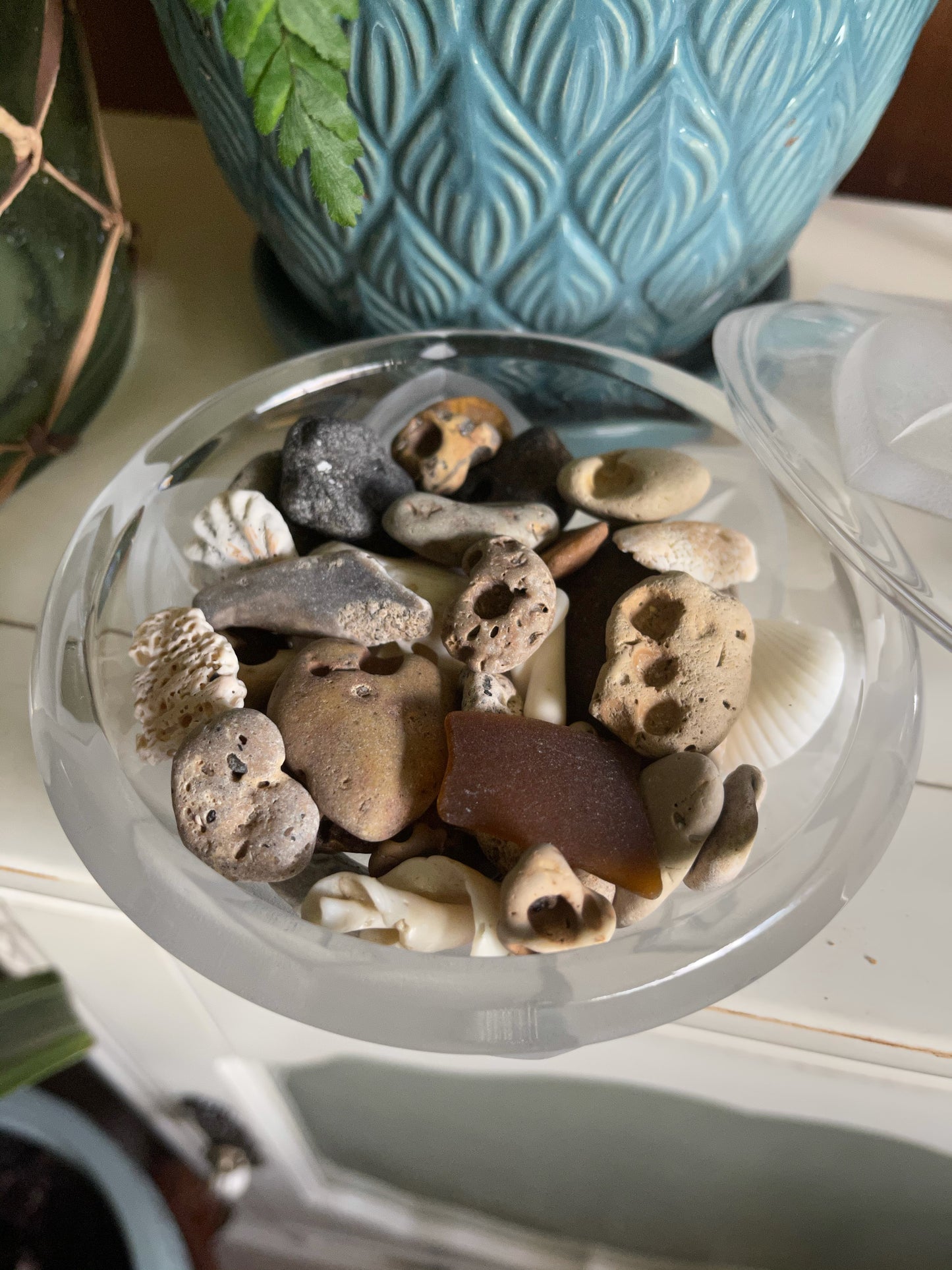 Elegant Coastal Decor, Water Energy, Old World Vintage