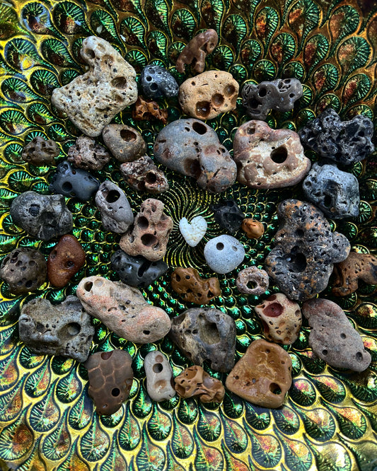 hag stone, hag stones, local hag stones, Florida hag stones, lucky stones, fairy stones, witches stones, witch's stones, hex stones, odin stone, adder stone, stone with hole, beach stone with hole
