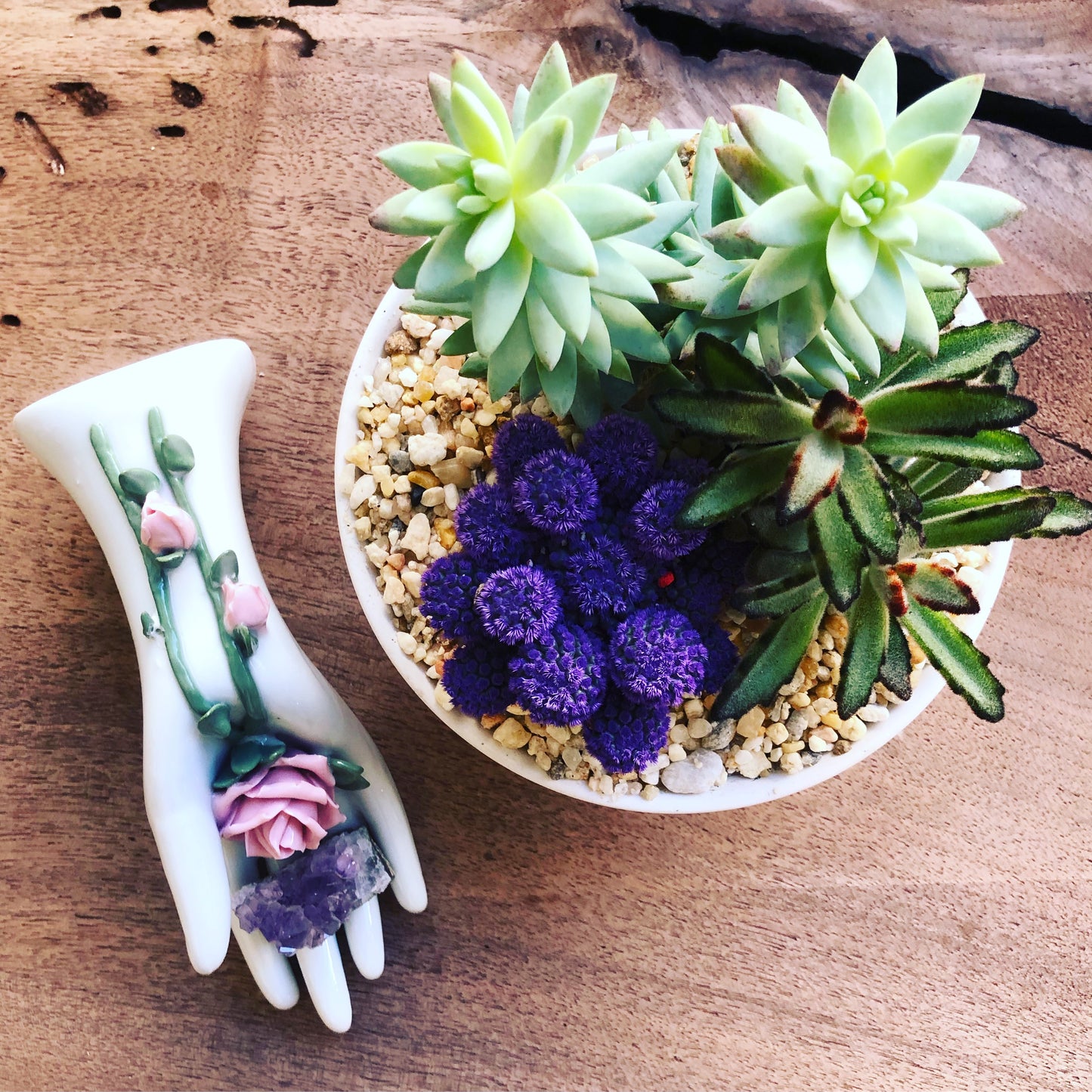 Photography for Online Marketing, Bodhi Leaf Consults