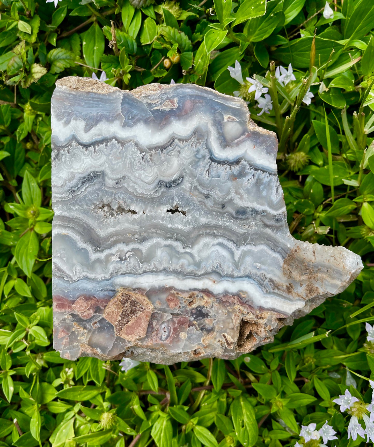 Phenomenal Large Laguna Lace Agate Chunk, Crystal Magic