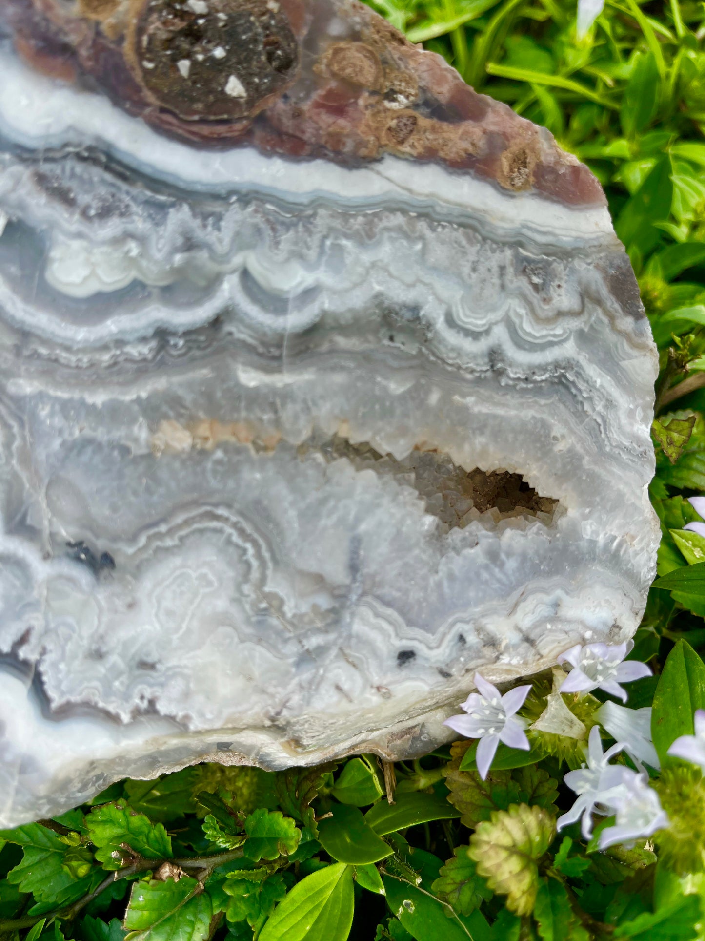 Phenomenal Large Laguna Lace Agate Chunk, Crystal Magic
