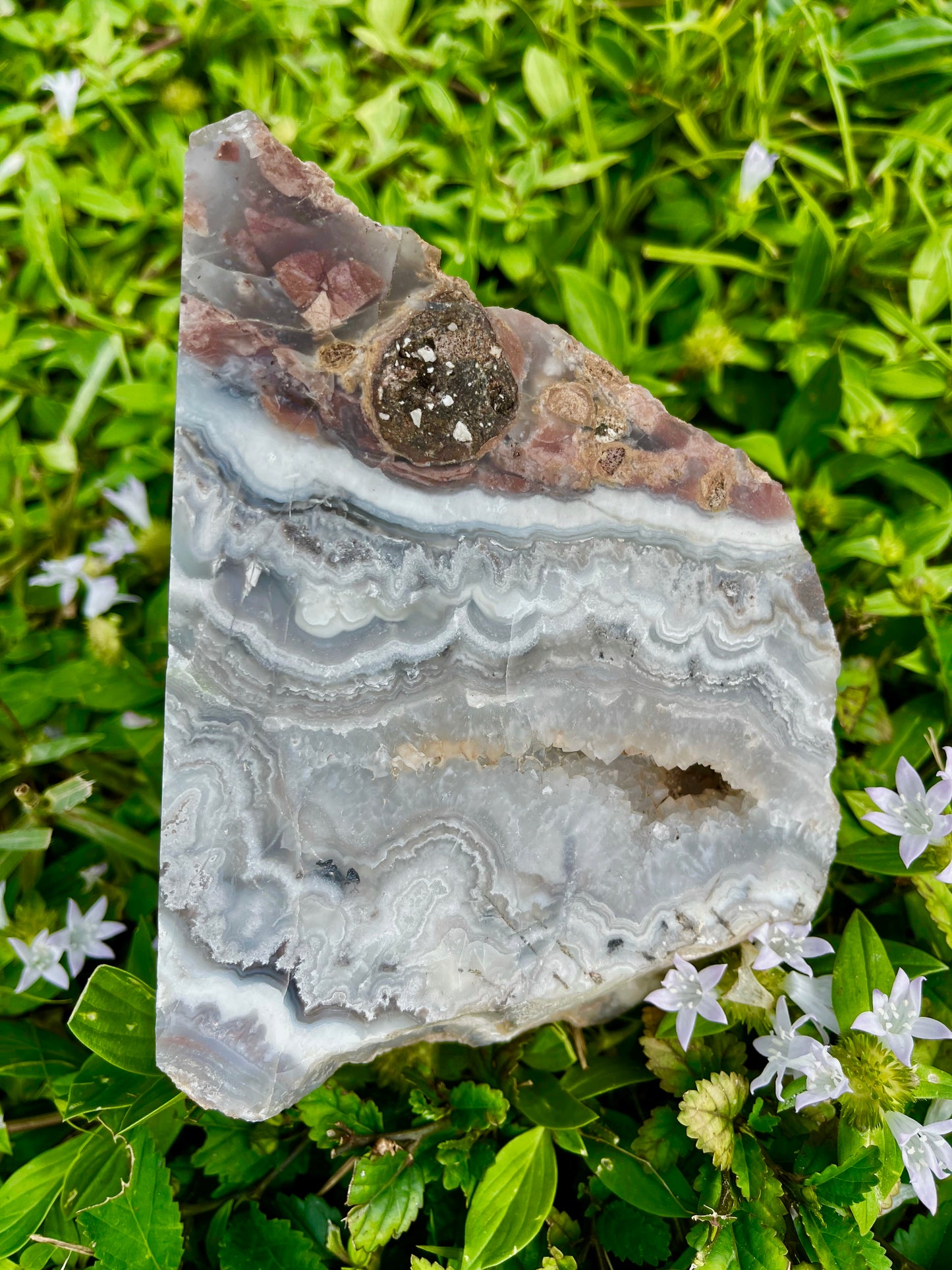 Phenomenal Large Laguna Lace Agate Chunk, Crystal Magic