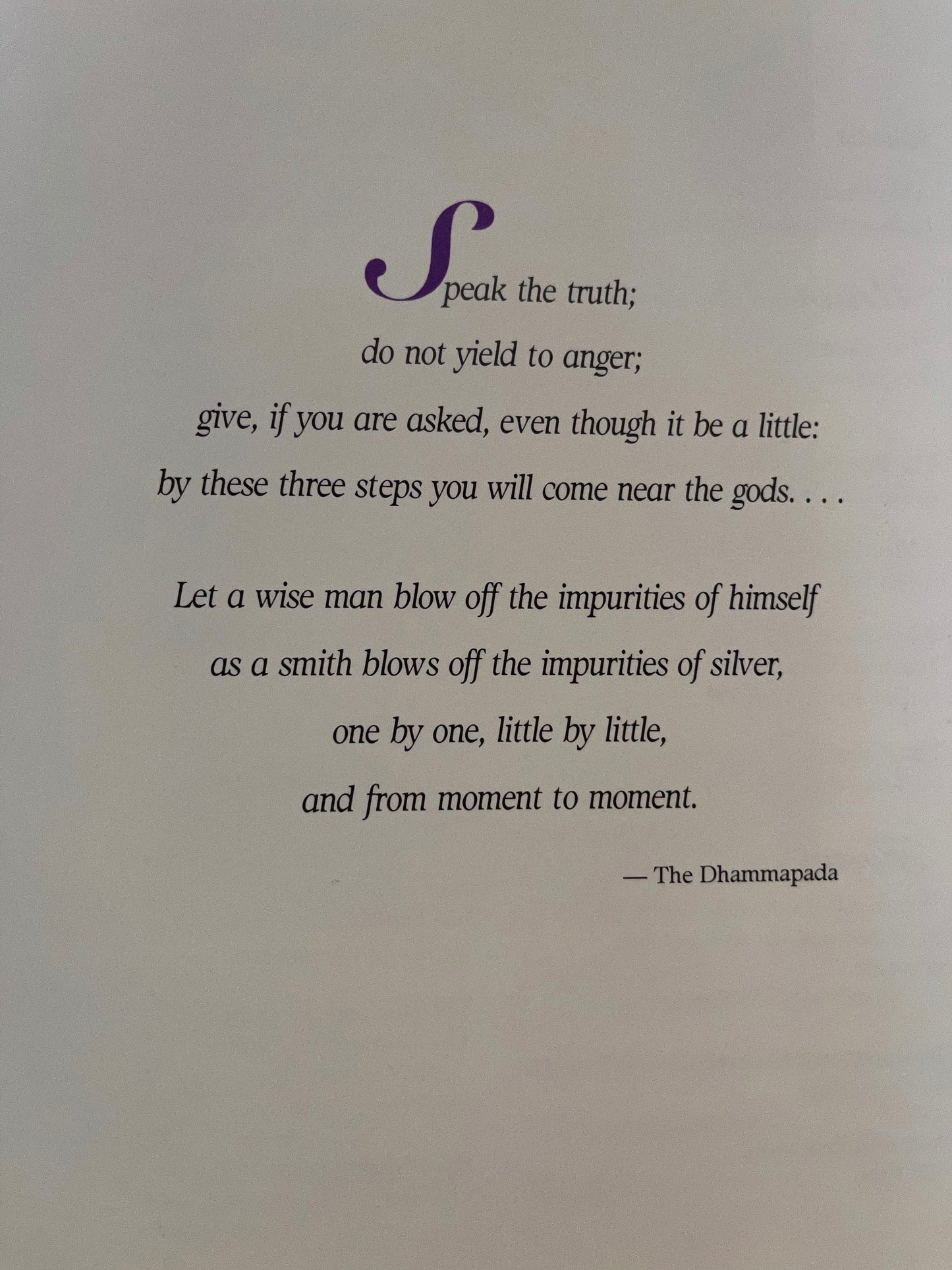 Darshan Magazine, Thieves of The Heart, Bodhi Books and Magazines