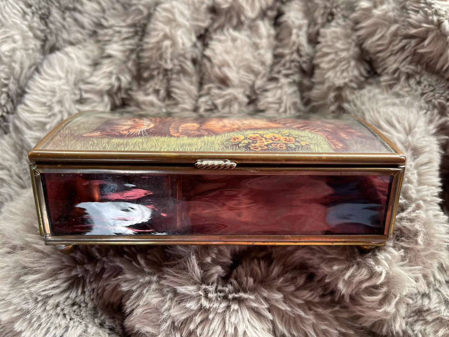 Vintage Cat Rare Vintage Music Box, Old World Vintage