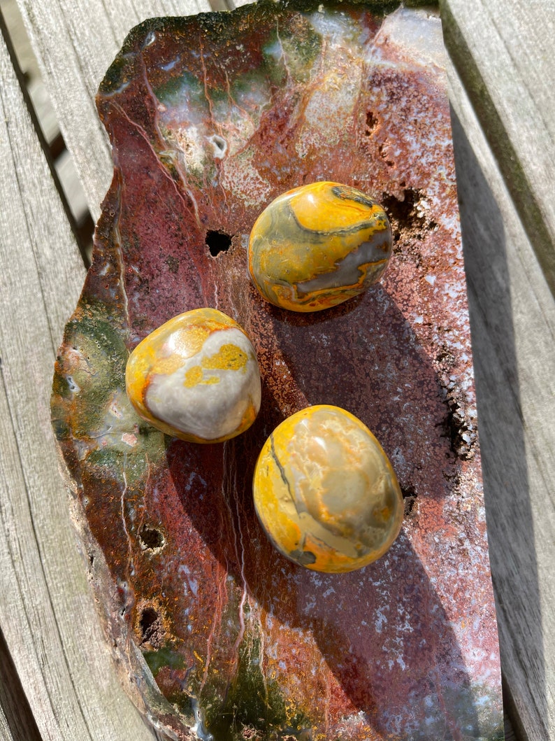 Gorgeous Bumble Bee Jasper, Crystal Magic