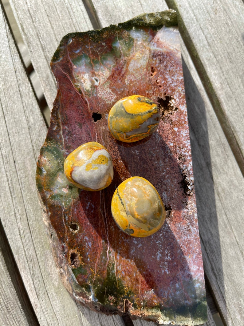 Gorgeous Bumble Bee Jasper, Crystal Magic