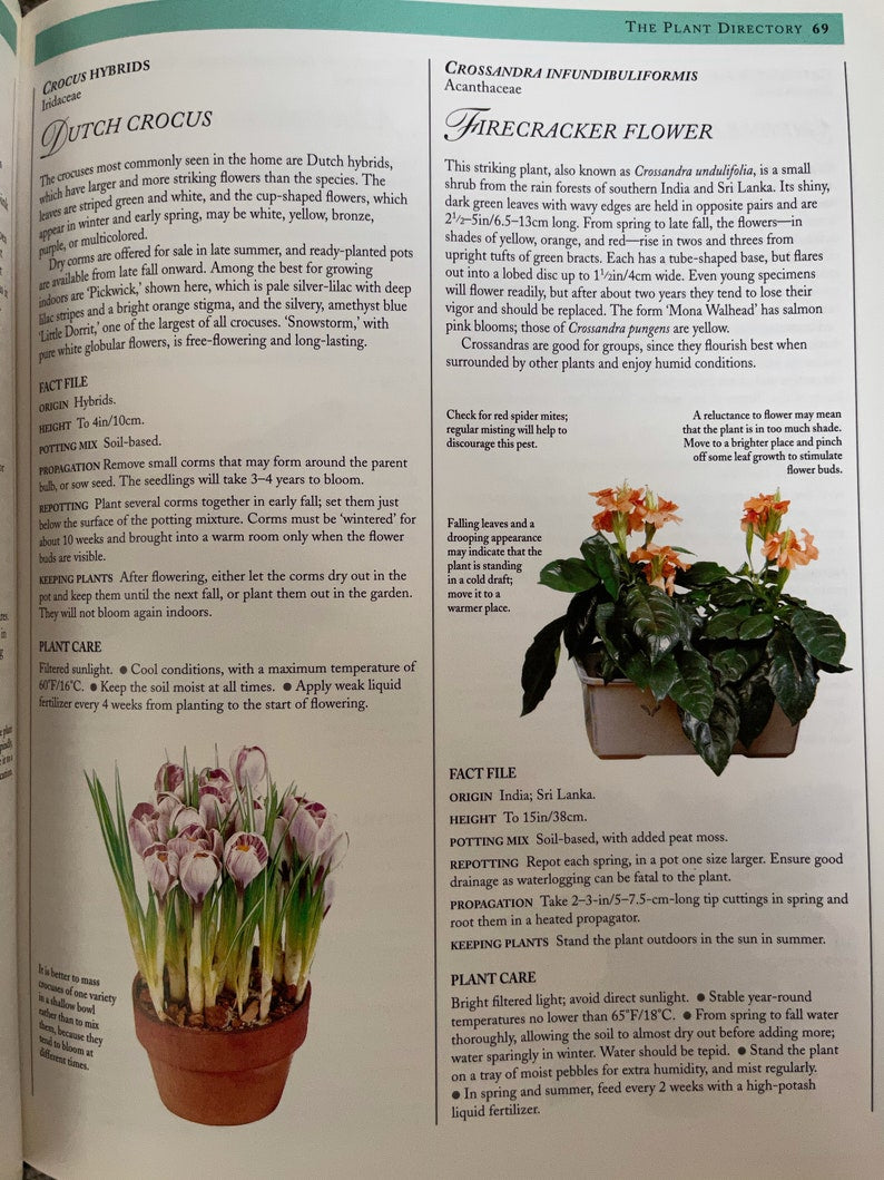 Indoor Plant Reference Book, Hard Cover Book, Bodhi Books and Magazines