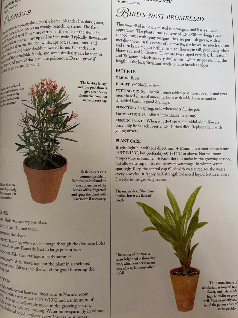 Indoor Plant Reference Book, Hard Cover Book, Bodhi Books and Magazines