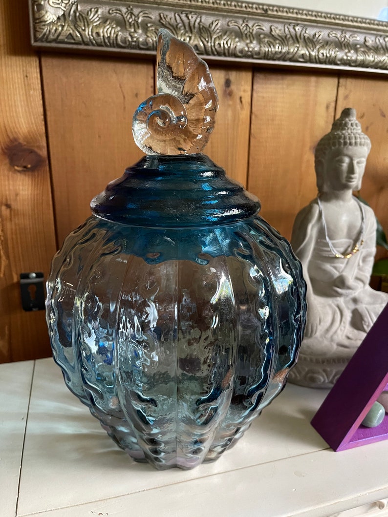 Awesome Large Glass Jar with Almost Hag Stones and Shells, Home Decor