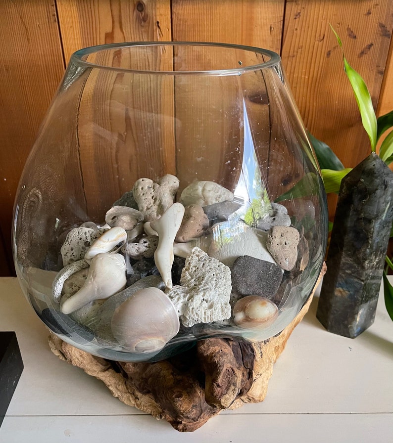 Treasures From The Sea, Molten Glass and Wood Root Sculptured Terrarium, Home Decor