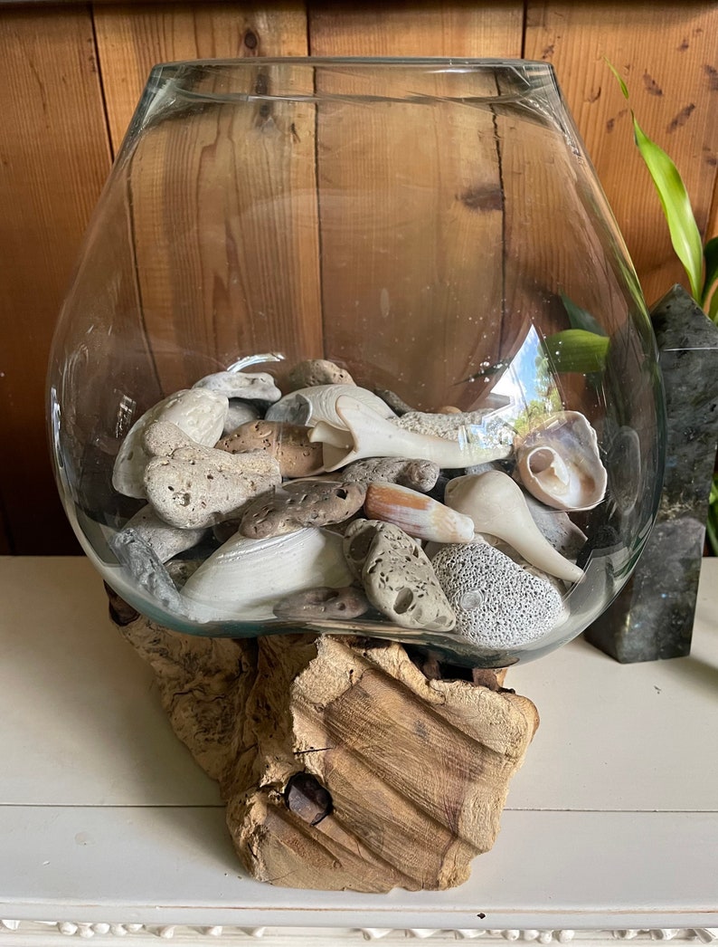 Treasures From The Sea, Molten Glass and Wood Root Sculptured Terrarium, Home Decor