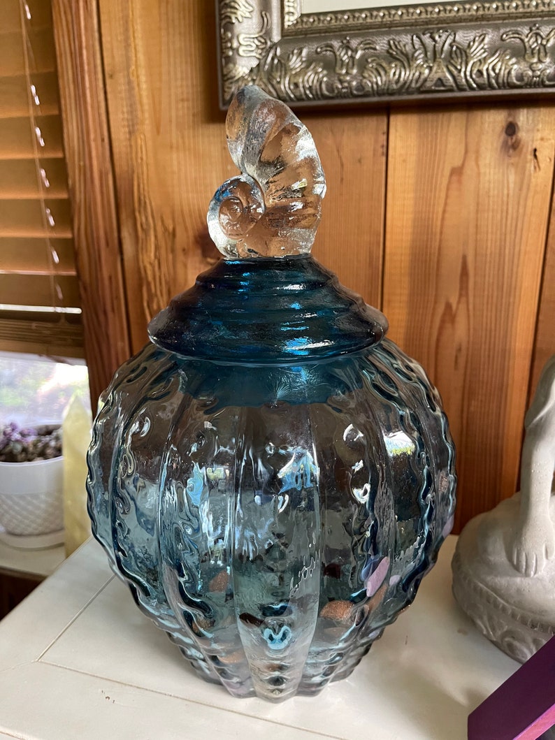 Awesome Large Glass Jar with Almost Hag Stones and Shells, Home Decor