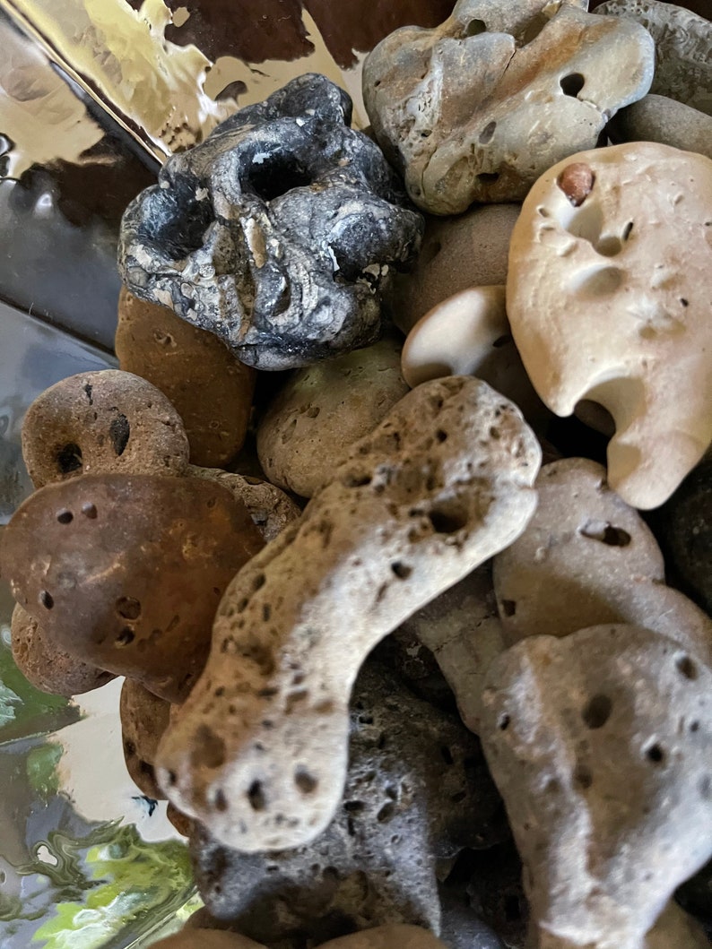 Awesome Large Glass Jar with Almost Hag Stones and Shells, Home Decor