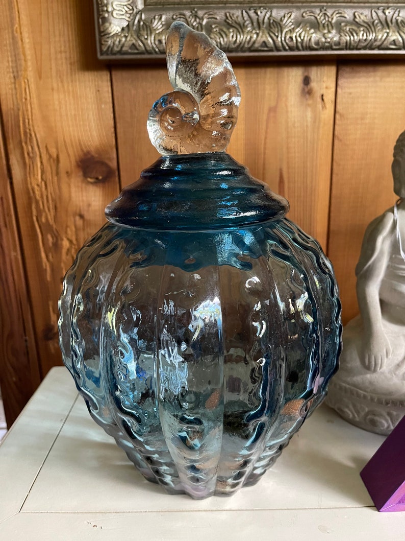 Awesome Large Glass Jar with Almost Hag Stones and Shells, Home Decor