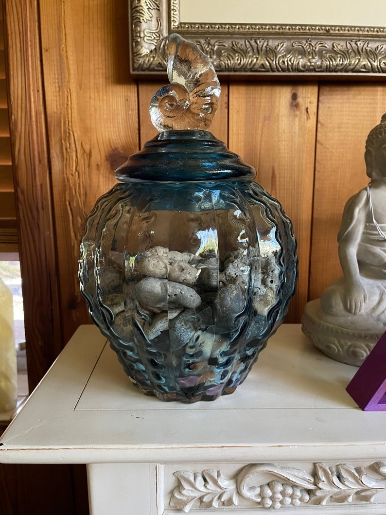 Awesome Large Glass Jar with Almost Hag Stones and Shells, Home Decor