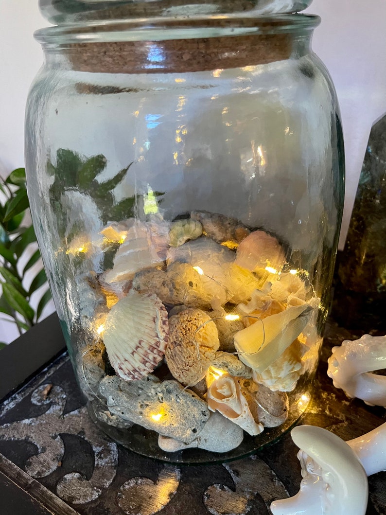 Awesome Large Glass Jar with Almost Hag Stones and Shells, Lighted Jar, Home Decor