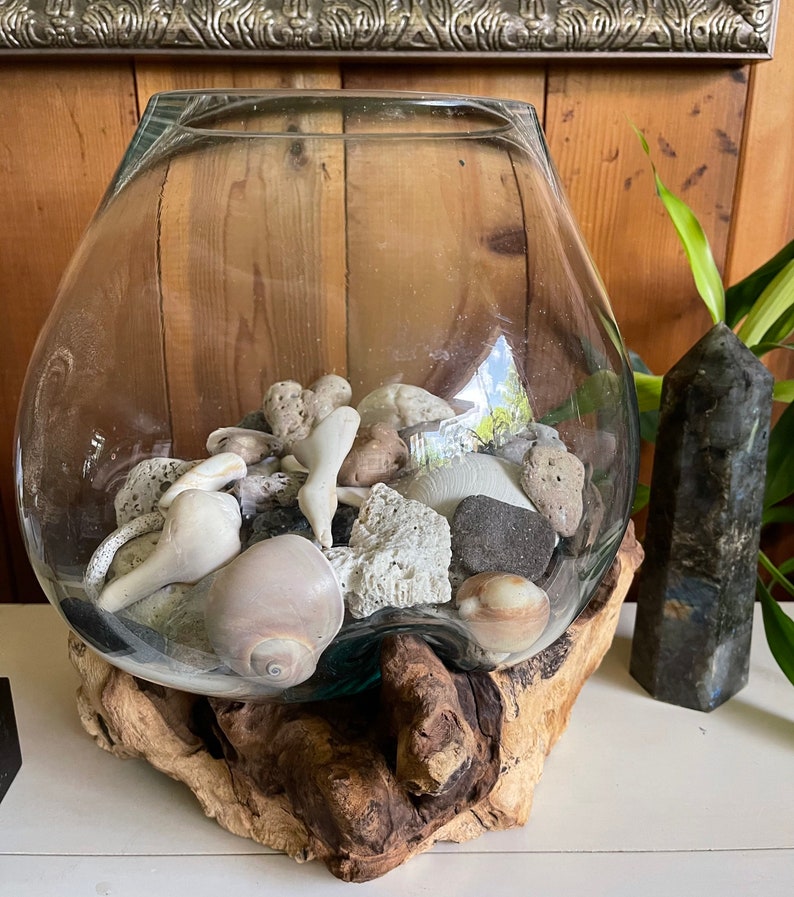 Treasures From The Sea, Molten Glass and Wood Root Sculptured Terrarium, Home Decor
