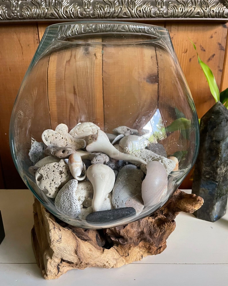 Treasures From The Sea, Molten Glass and Wood Root Sculptured Terrarium, Home Decor