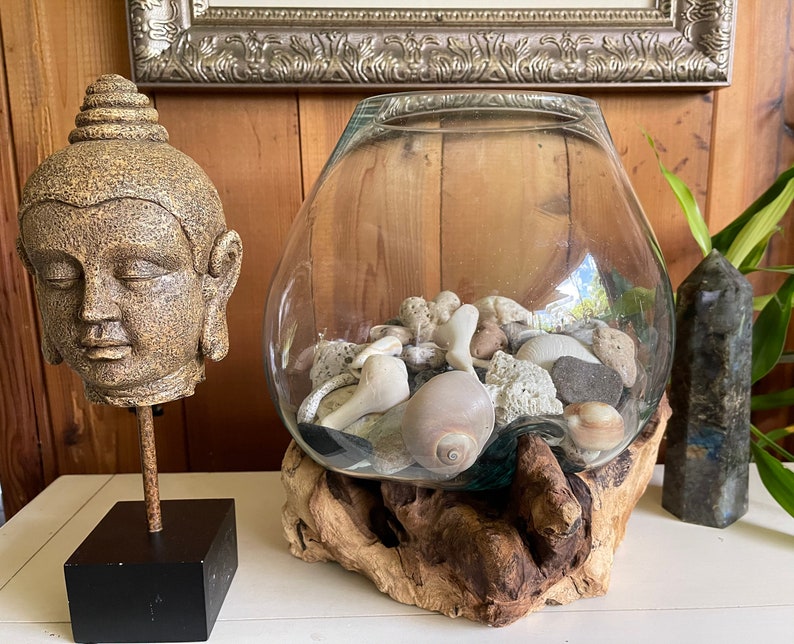 Treasures From The Sea, Molten Glass and Wood Root Sculptured Terrarium, Home Decor