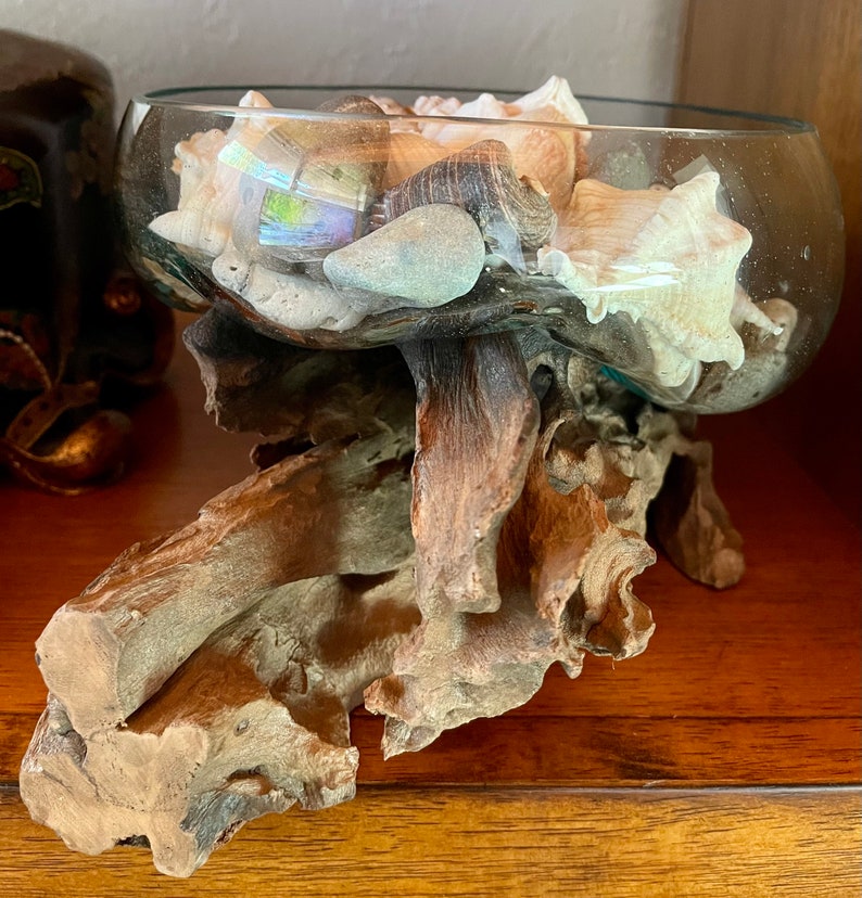 Treasures From The Sea, Molten Glass and Wood Root Sculptured Terrarium, Home Decor
