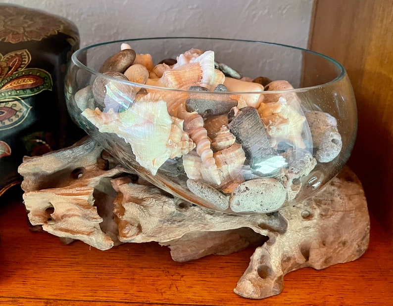 Treasures From The Sea, Molten Glass and Wood Root Sculptured Terrarium, Home Decor