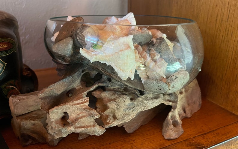 Treasures From The Sea, Molten Glass and Wood Root Sculptured Terrarium, Home Decor