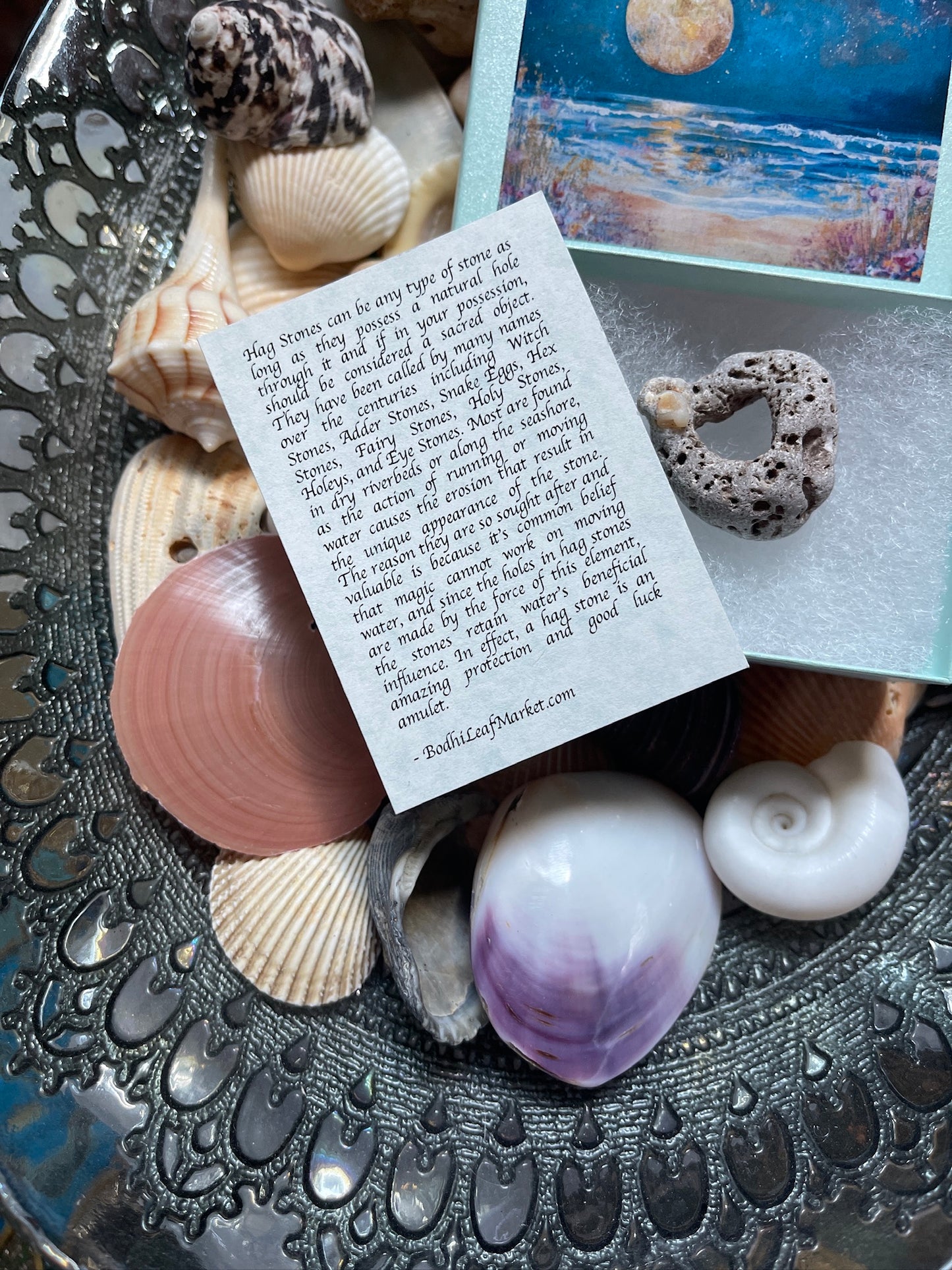 Hagstone with Calcite Shell Formation in Mystical Beach Moon Gift Box