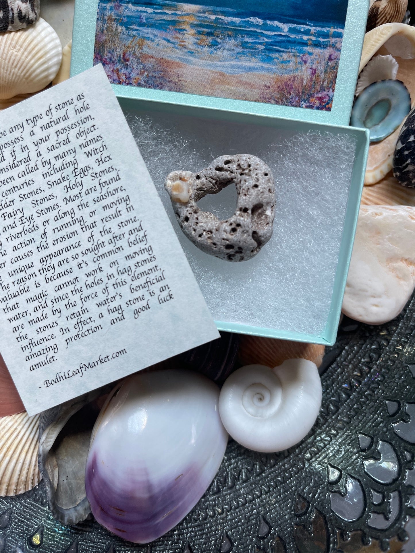 Hagstone with Calcite Shell Formation in Mystical Beach Moon Gift Box