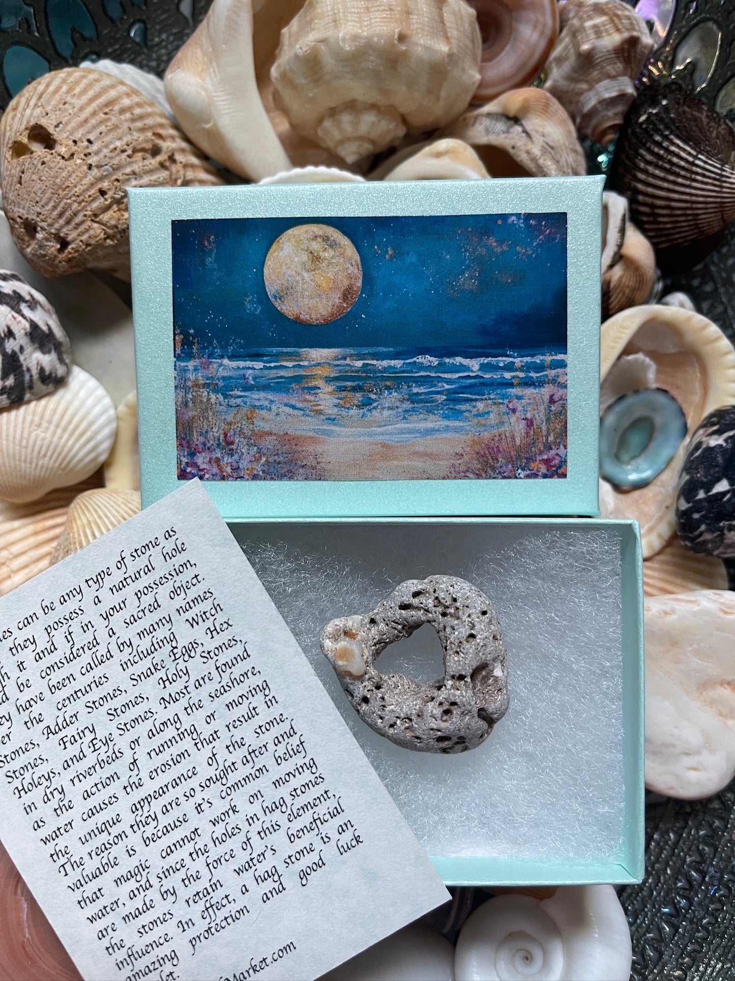 Hagstone with Calcite Shell Formation in Mystical Beach Moon Gift Box
