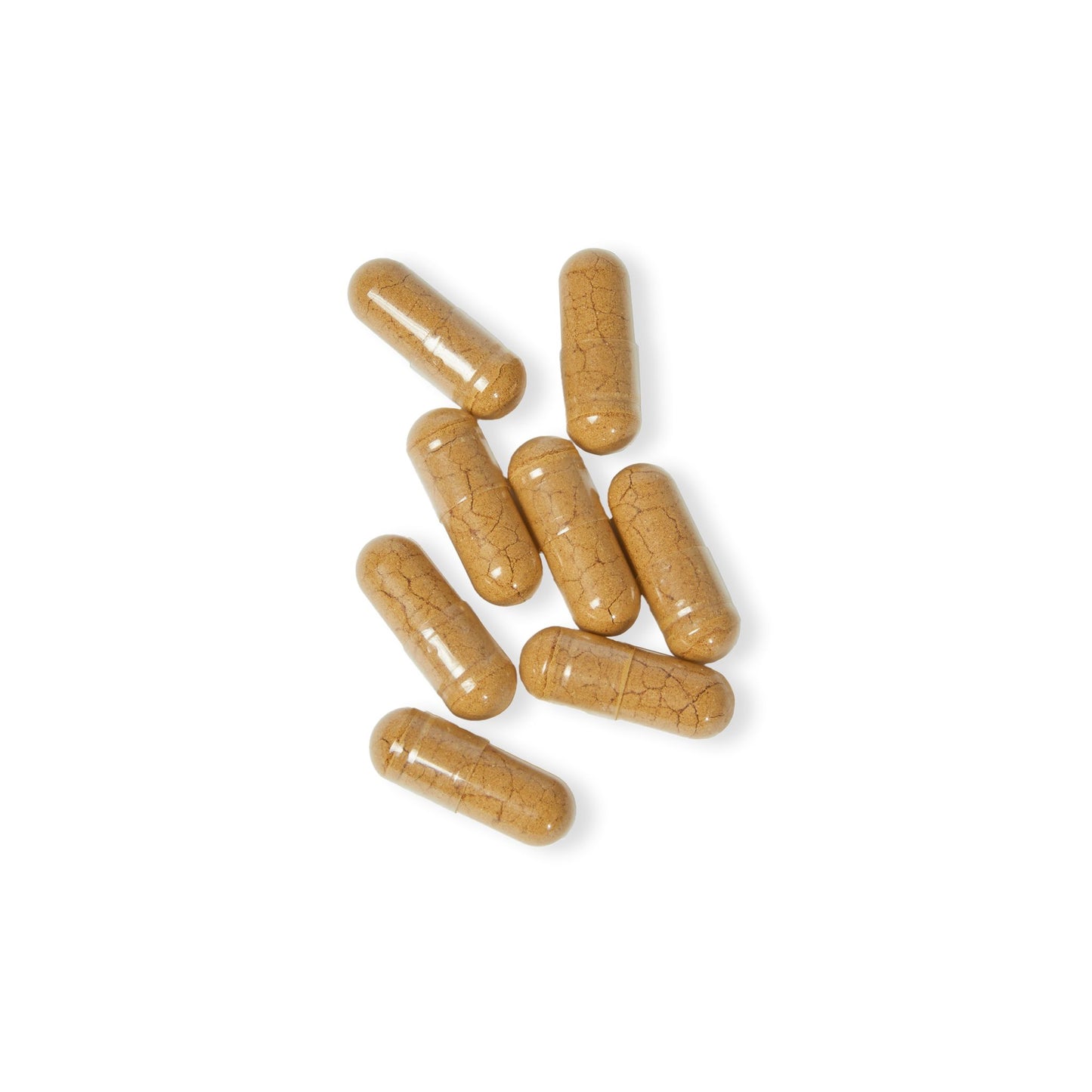 Mushroom Blend Supplement (60 Capsules) Year of The Fire Horse Illustration
