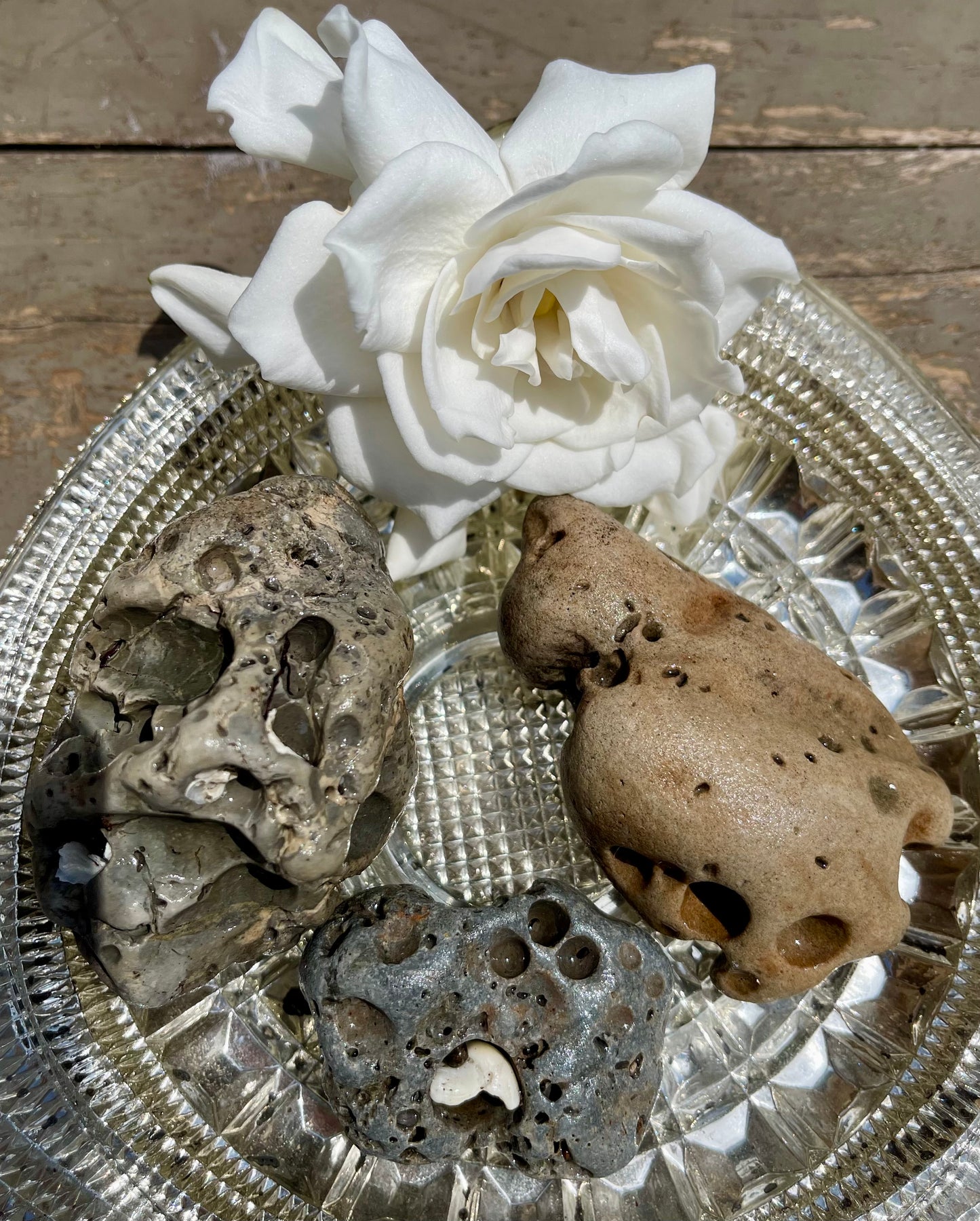 Treasures From the Sea, Large Beach Stone Set, Bodhi Crystal Magic