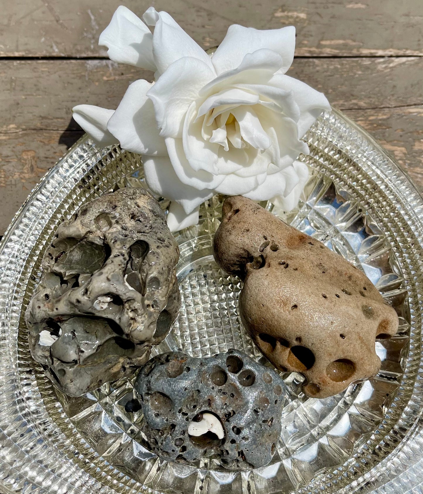 Treasures From the Sea, Large Beach Stone Set, Bodhi Crystal Magic