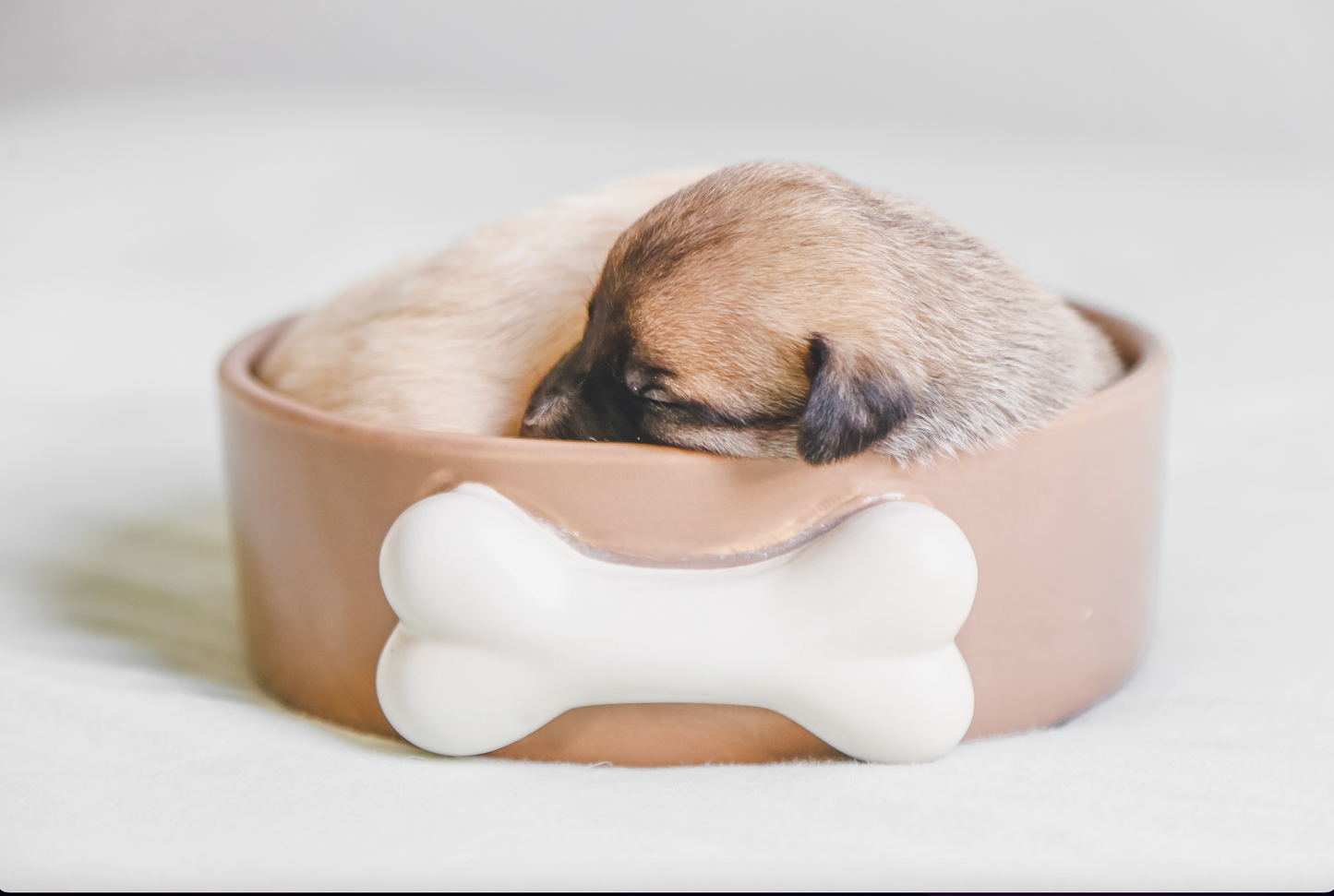 Sizzling Summer Sale 30% Off Your First Order in July, Bodhi Pets