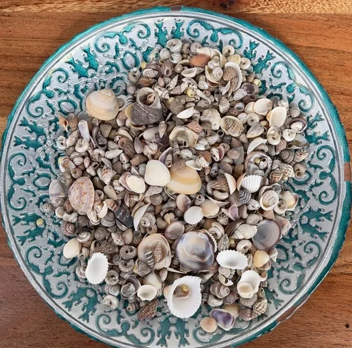 Scoop of Mini Seashells, Craft, Beach Cottage, Bodhi Gifts