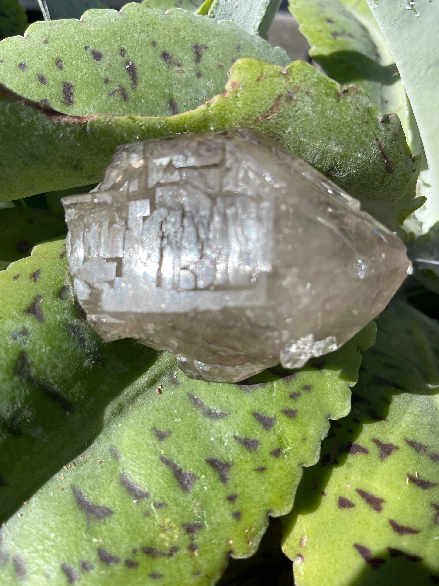 Otherworldly Beautiful Energy Skeletal Quartz, Elestial Quartz Crystal, Bodhi Crystal Magic