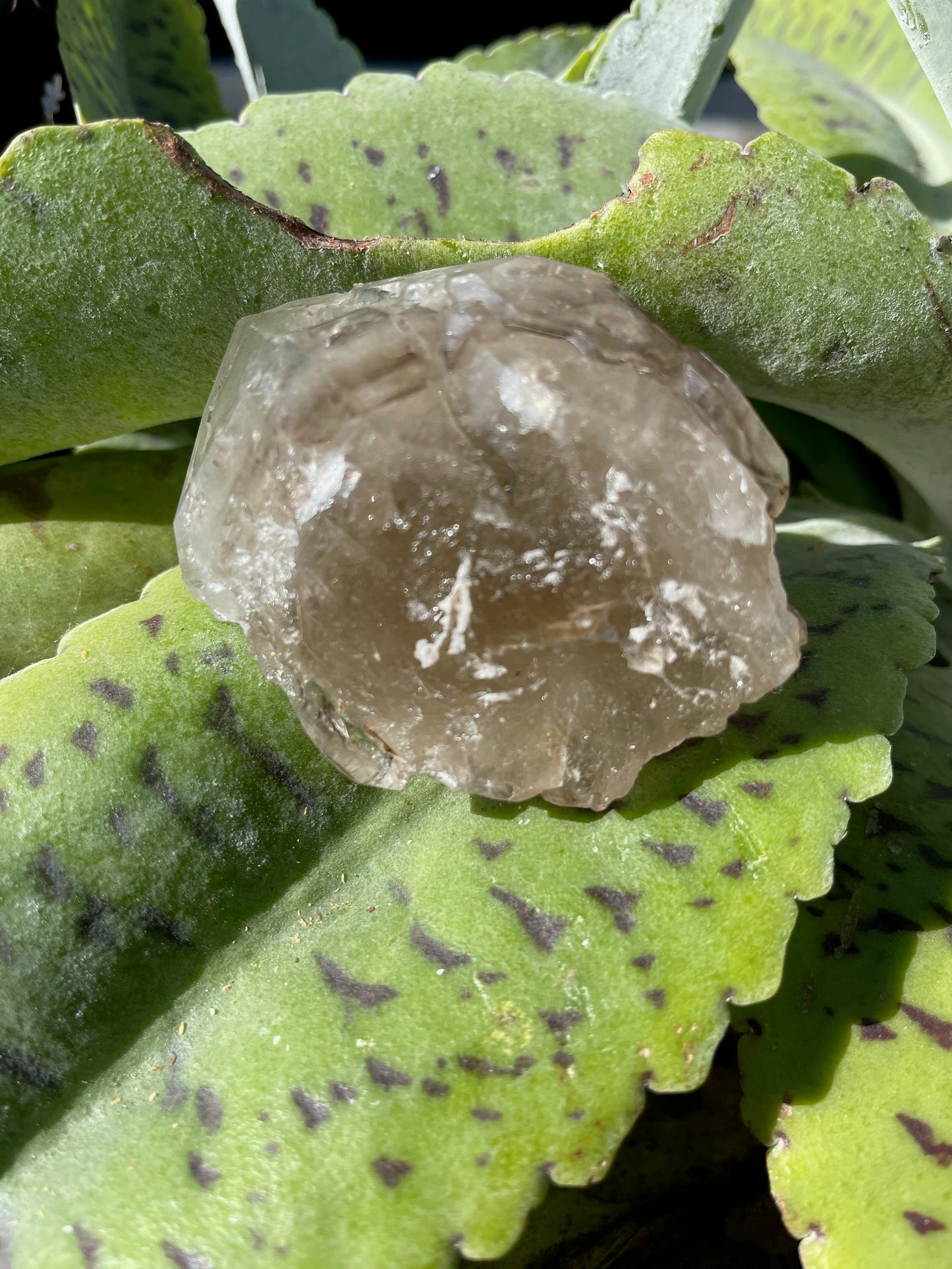 Otherworldly Beautiful Energy Skeletal Quartz, Elestial Quartz Crystal, Bodhi Crystal Magic