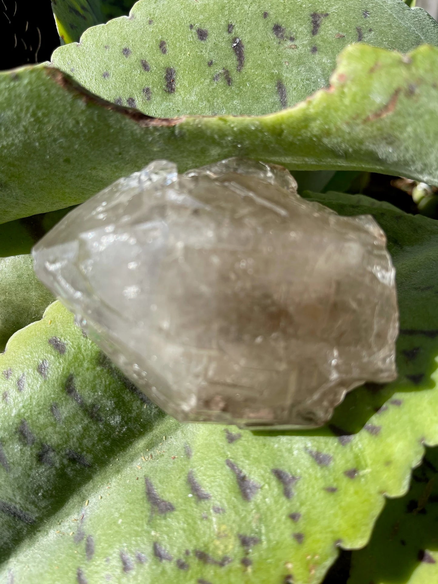 Otherworldly Beautiful Energy Skeletal Quartz, Elestial Quartz Crystal, Bodhi Crystal Magic