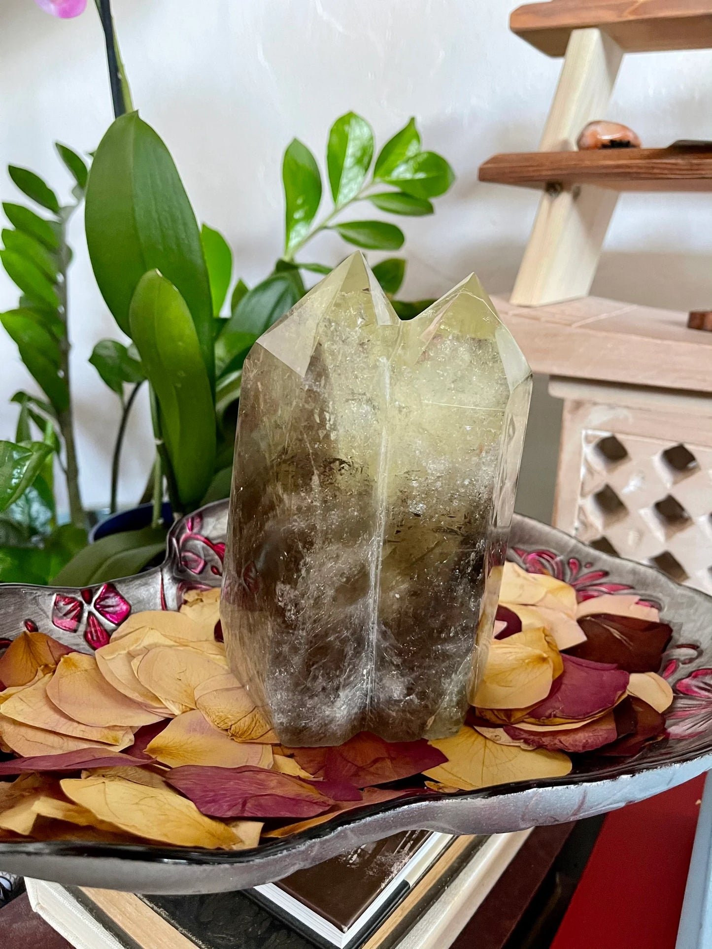 Stunning Large Twin Crystal Smoky Citrine, 4.4 lbs, Bodhi Crystal Magic