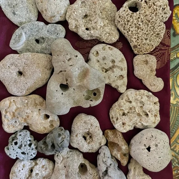 Large Lot of Hag Stones, Beach Stones, Good Luck Water Amulet, Bodhi Crystal Magic