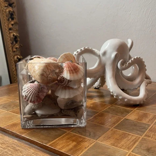 Beach Cottage, Local Shells, Beach Stones, Hag Stones, Vintage Coral in Glass, Bodhi Gifts