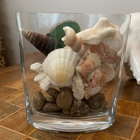 Beach Cottage, Shells, Beach Stones, Hag Stones, Vintage Coral, Sliced Agate, Bodhi Gifts