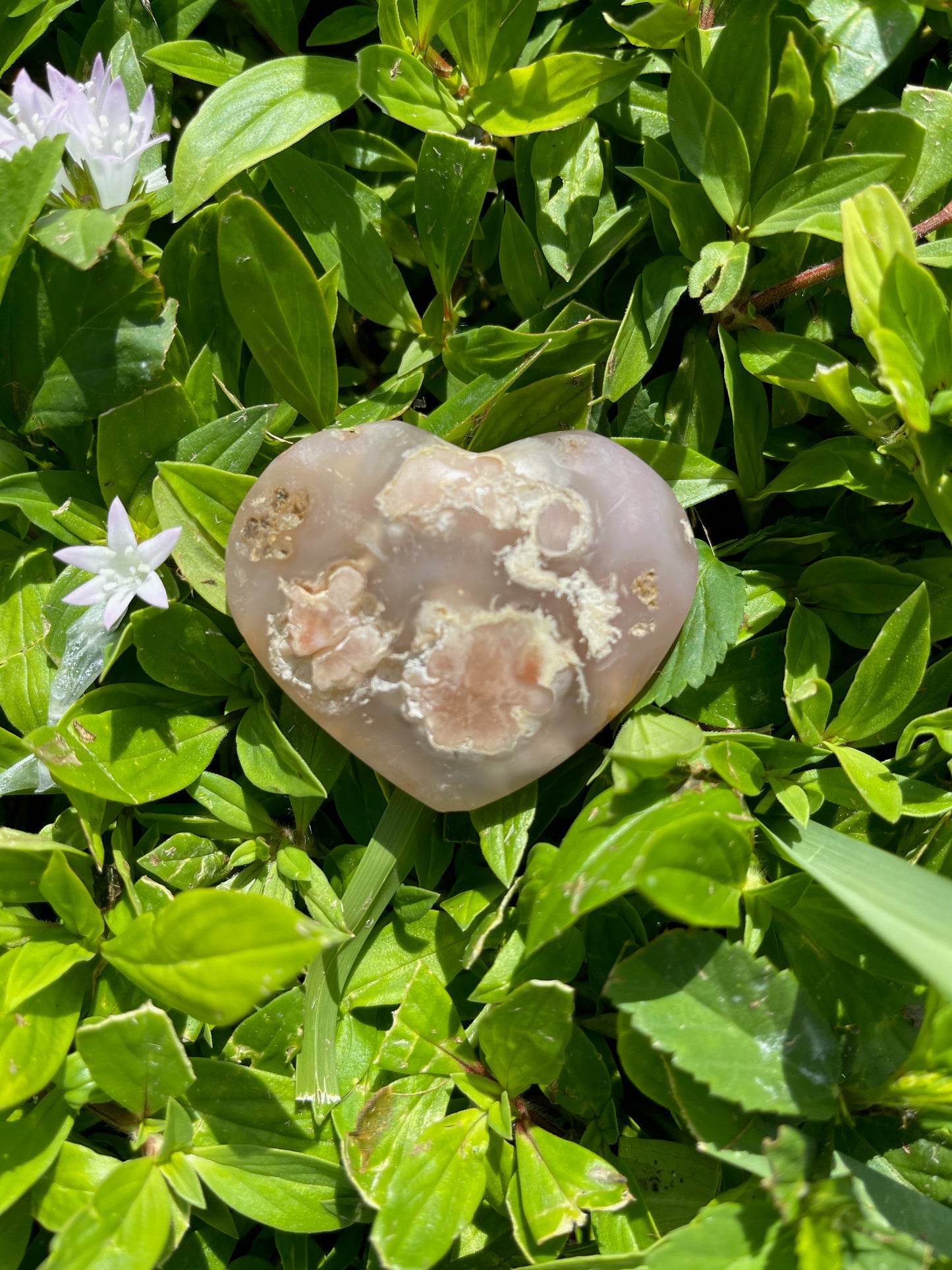 Agate Heart, Palm Stone, Cherry Blossom Agate, Crystal Magic