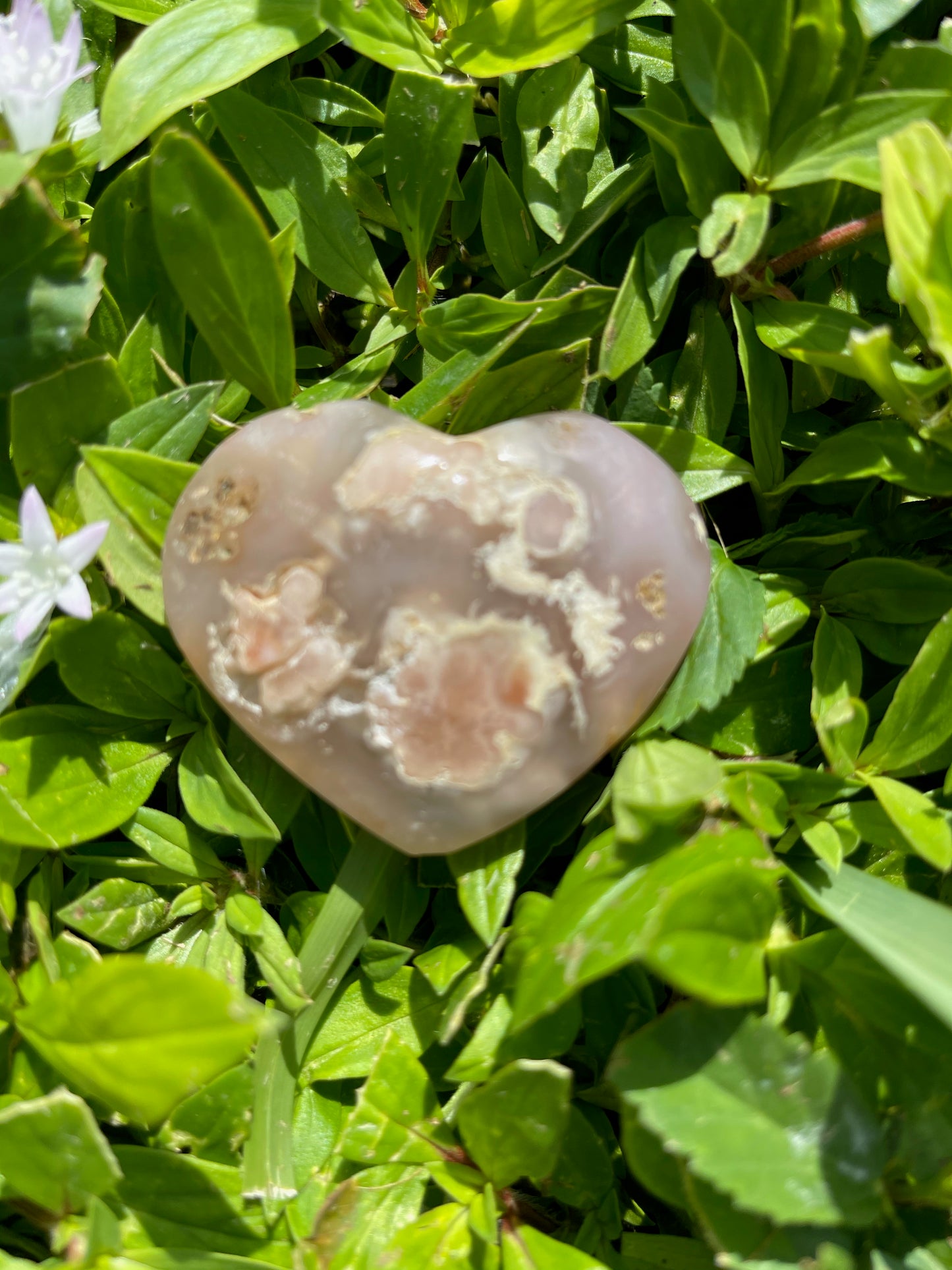 Agate Heart, Palm Stone, Cherry Blossom Agate, Crystal Magic