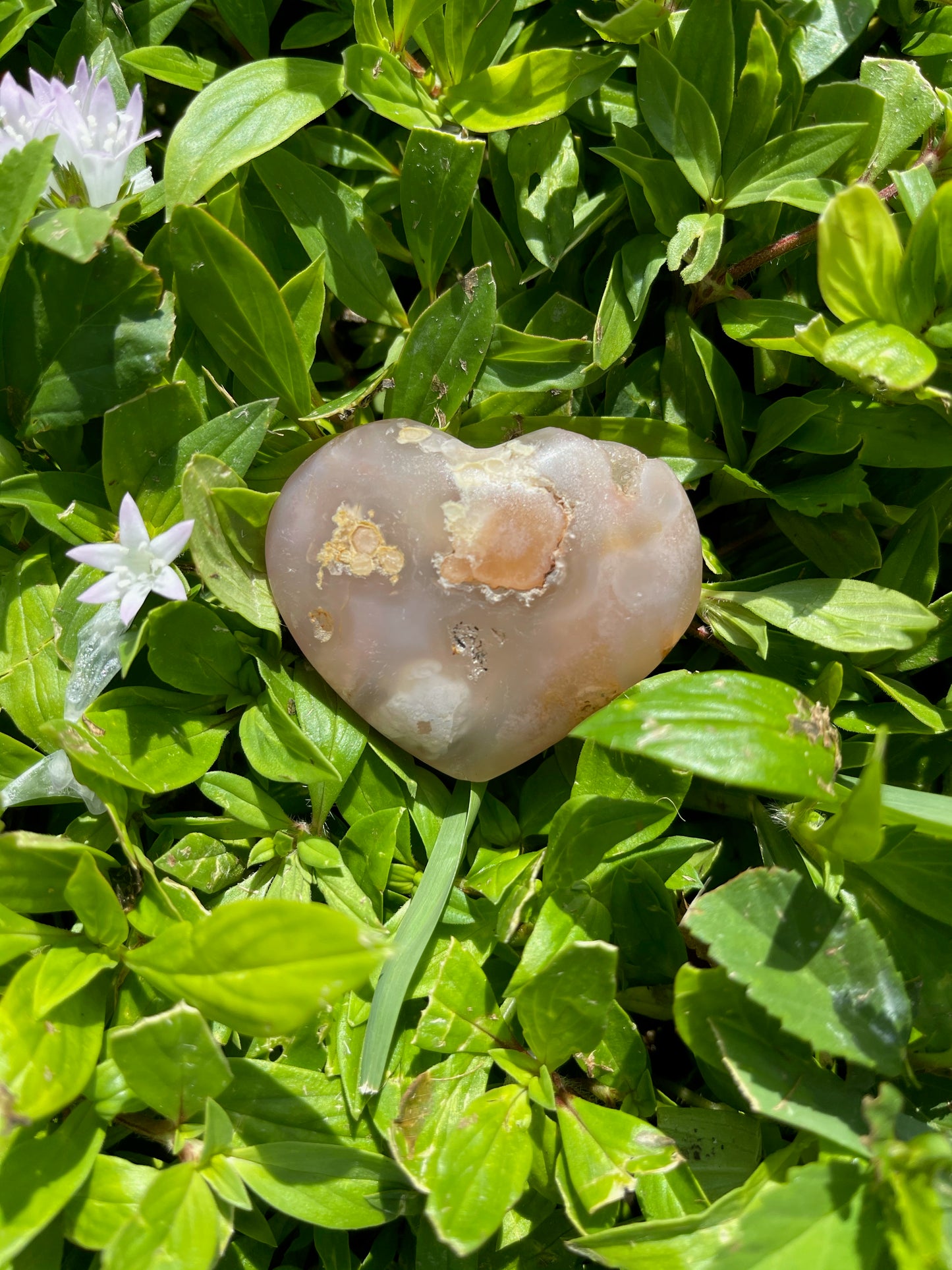 Agate Heart, Palm Stone, Cherry Blossom Agate, Crystal Magic