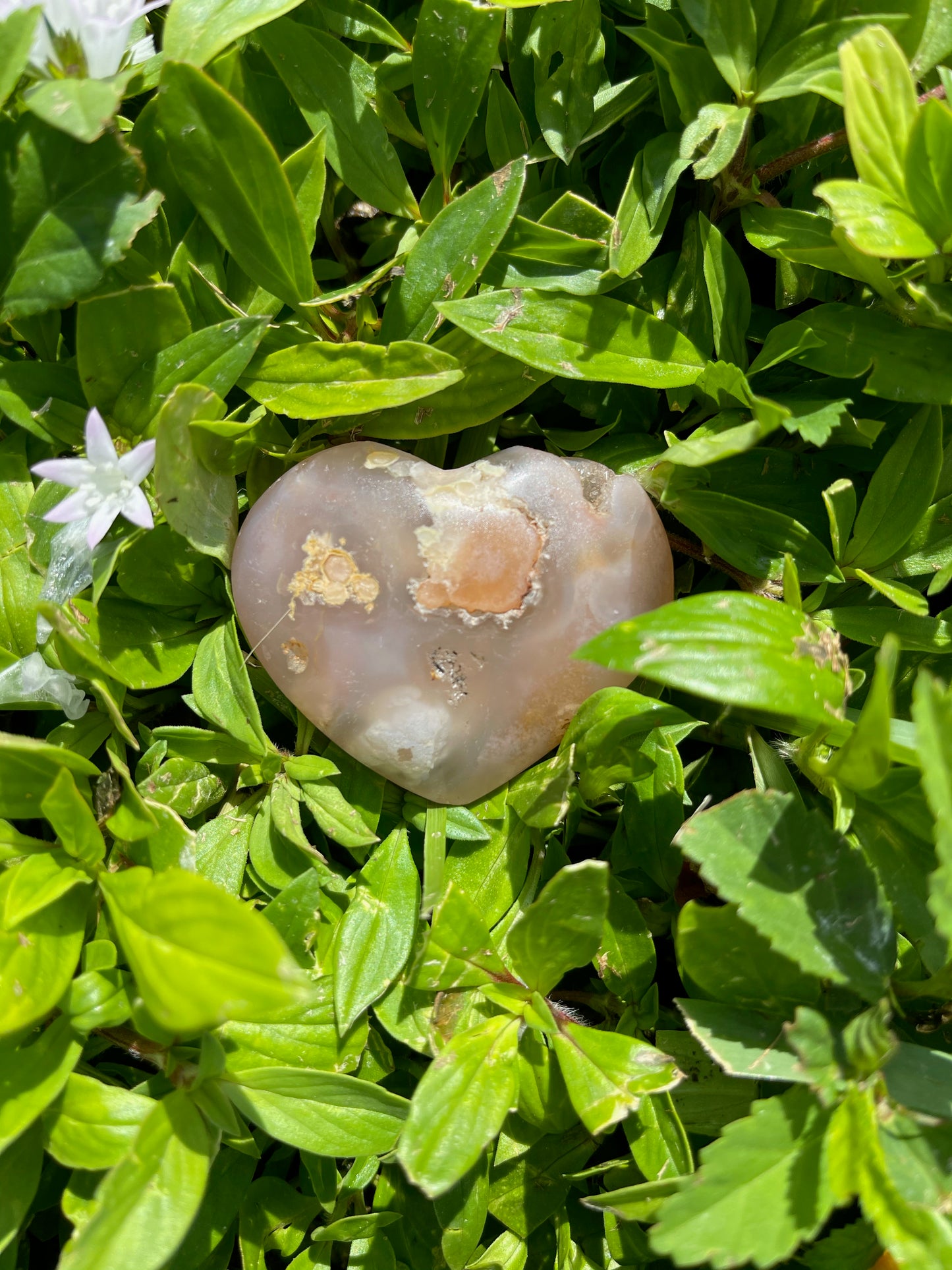 Agate Heart, Palm Stone, Cherry Blossom Agate, Crystal Magic